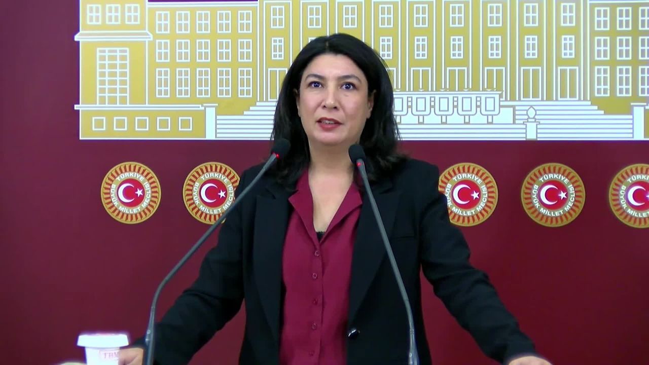 Halide Türkoğlu: Gülistan Doku olayı kurumların nasıl çöktüğünün göstergesi olmuştur