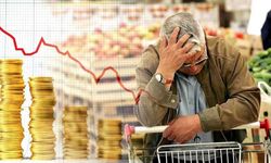 AKP'ye yakın şirketten ekonomi anketi