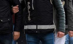 7 şirkte kayyım atandı, 687 kişi vatandaşlıktan çıkarılacak