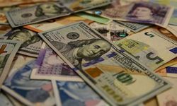 Dolar 45,91 seviyesinden işlem görüyor