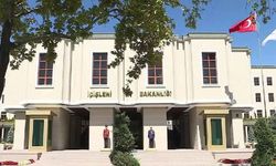 Köyceğiz ve Narman belediyelerine 'Sokak köpekleri' için soruşturma izni