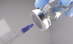 H5N5 virüsü Washington'da can aldı