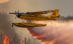 Türkiye'ye ait yangın söndürme uçağı Hırvatistan'da düştü