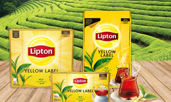 Bir dönem resmen bitti! Lipton Türkiye'den çekildi