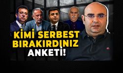 Ertan Aksoy çarpıcı anketi paylaştı! Demirtaş Öcalan'a fark attı...