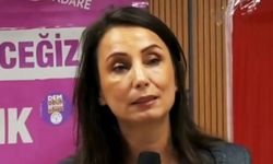 DEM Parti'den Özel'in 'Stockholm sendromu' benzetmesine tepki