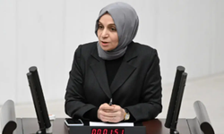 AKP’li vekilden Meclis’te skandal sözler "Aleviler öldürülüyor diye ortalığı ayağa kaldırıyor"