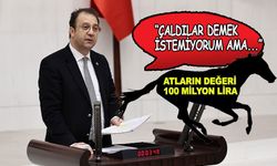CHP'li Alp: TJK bünyesindeki safkan atlar yok!