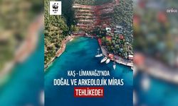 WWF uyardı! Limanağzı’nda doğal ve arkeolojik miras tehlike altında