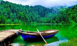 Milli parklarda el konulan yapı ve tesisler için yeni düzenleme