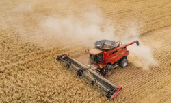 Savaşın maliyeti tarımı vurdu