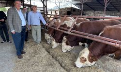 Gürer: Mars’ta yaşam bulunsa oradan da ithalat yapılacak