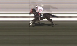 Kuşbaşı yapılan yarış atı 50 bin liraya satılmış