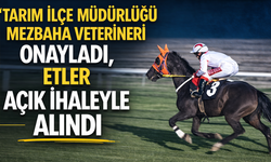 Mersin Büyükşehir Belediyesi'nden ve atın sahibinden açıklama