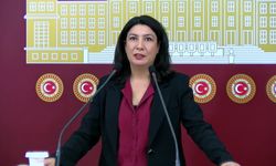 Halide Türkoğlu: Gülistan Doku olayı kurumların nasıl çöktüğünün göstergesi olmuştur