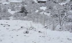 Baharı bekleyen Ankara’ya kar yağdı!