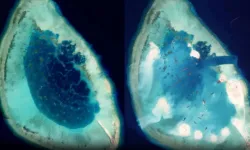 Çin, dünyaya çaktırmadan kumdan 'Askeri üs' inşa etti