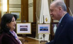 DEM Parti CHP operasyonlarından rahatsızlığı görüşmede söylemiş! İşte Erdoğan'ın tepkisi