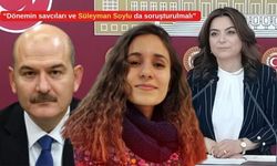 DEM Parti'li Koçyiğit, 'Gülistan Doku' dosyasında Süleyman Soylu'yu işaret etti