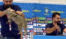 200 milyon insan bu kediden özür diliyor! O günden beri gün yüzü görmediler