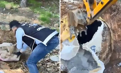 İstanbul'da toprağa gömülü cephane bulundu