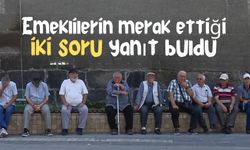 Bayram ikramiyesinde emekliye yine hüsran düştü!