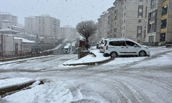 Nisan aynın ortasında 10 santim kar yağdı