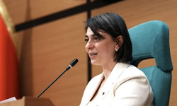 Üsküdar operasyonuna Sinem Dedetaş'tan ilk tepki!