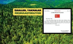 Yeşile hançer! 23 ilde 2 milyon metrekare alan Orman vasfından çıkarıldı