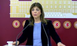 DEM Partili Beştaş'tan Bakan Gürlek'e: Delili siz bulacaksınız