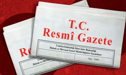 Sosyal medyaya yaş yasağı geldi, doğum izni 24 haftaya çıktı