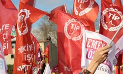 TİP'ten 'Saray'ın kuklası' vurgusu: Siyaseten tanımayacağız