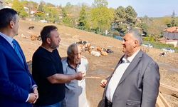 Ahırlar villaların arasında kaldı