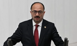 AKP'li vekil köpekleri hedef aldı terörist ilan etti
