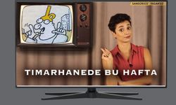 Tımarhanede bugün! Şule Aydın'a 'Ajan' soruşturması