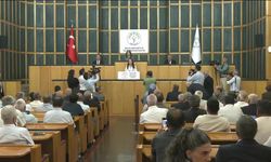 Tülay Hatimoğulları: Çerçeve yasa temmuz ayını geçmemeli