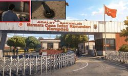 İmamoğlu'ndan 'Silivri’deki avlumda yeni komşularım var' videosu