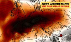 Fransa’da 40 dereceyi aşan sıcak bin can aldı