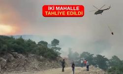 Aydın'daki orman yangınına havadan müdahale başladı