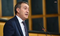DEM Parti'den Deniz Göktaş'ın tutukluluğuna tepki: Hukuk skandalıdır