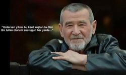 'Gidersen yıkılır bu kent...'! Şair Ahmet Telli de yaşama veda etti