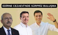 Kılıçdaroğlu’nu reddeden Demirtaş Mahmut Arıkan’ı kabul etti