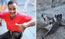 Üsküdar'da martıyı falçatayla parçalayan cani bakın kim çıktı