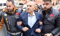 Vali mi mafya babası mı belli değil