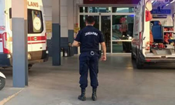 Gölgeyi domuz sandı ateş etti, babasını öldürdü