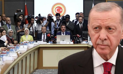 Erdoğan'ın eski danışmanından "Çerçeve Yasa" tepkisi