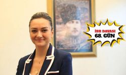 'Sadece layıkıyla işimi yaptığım için mi 11 ay evladımdan ayrı kaldım'