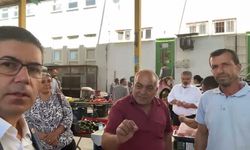 'Domates 20 lira ama satamıyoruz'
