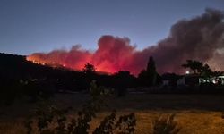 Muğla'da ormanlık alanda yangın