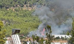 Mersin'de orman yangını